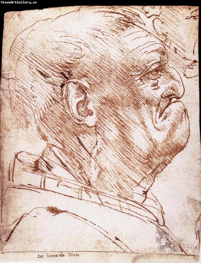 LEONARDO da Vinci Grotesque profile of a man